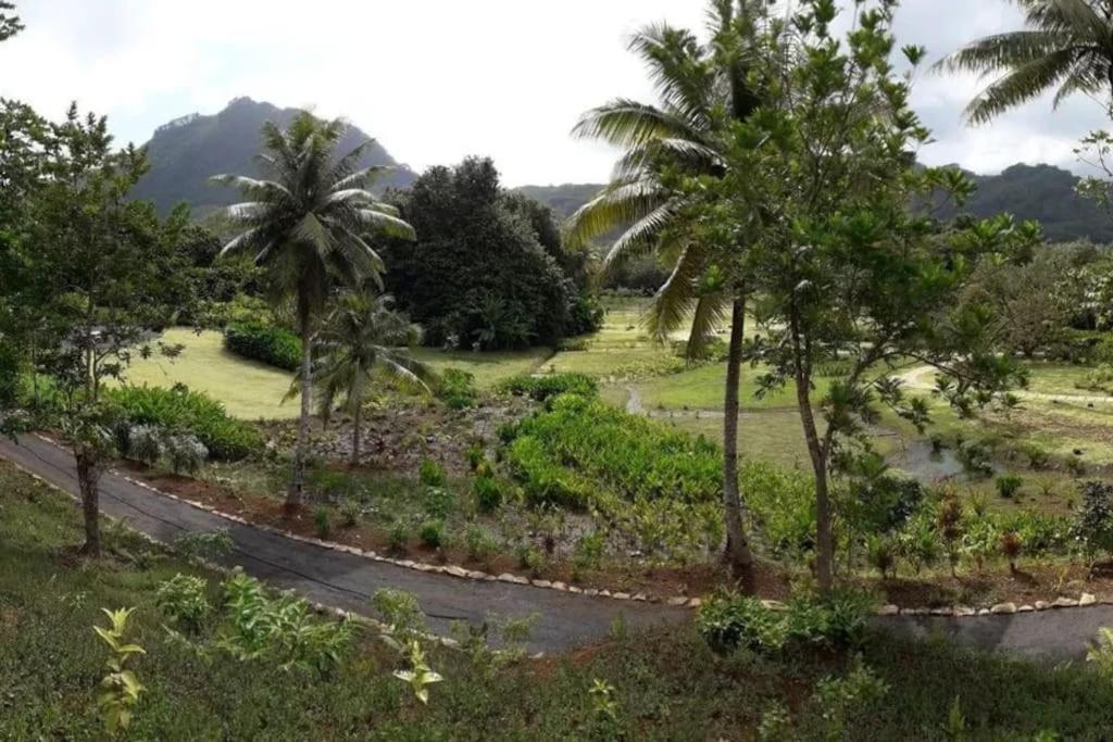 Duplex En Bord De Mer Fare Tahitea Pension Taputapuapea Eksteriør billede