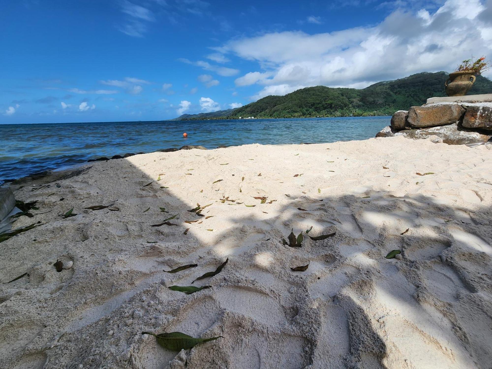 Duplex En Bord De Mer Fare Tahitea Pension Taputapuapea Eksteriør billede